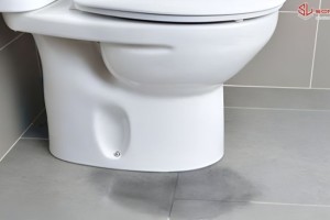 7 Nguyên Nhân Bồn Cầu Chảy Nước Liên Tục Và Cách Tự Sửa Chữa Tại Nhà (Van Phao, Gioăng Cao Su và Nút Nhấn Xả)
