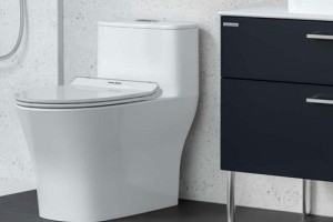 Bồn cầu 1 khối American Standard - Chính Hãng - Giá rẻ