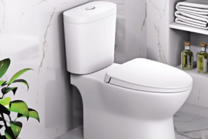 Bồn cầu 2 khối Caesar Chính hãng - Chất lượng tốt - Giá tốt