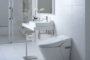 Bồn cầu âm tường TOTO - Chính Hãng - Giá Tốt 