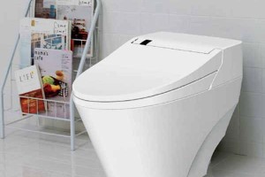 Bồn cầu âm tường Viglacera - Giá Rẻ - Chất Lượng TỐT