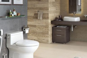 Bồn cầu Asami - Review chất lượng & Bảng giá mới nhất