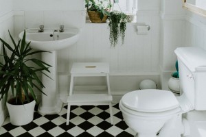 Kinh nghiệm mua bồn cầu giá rẻ cho phòng trọ tiết kiệm chi tiêu