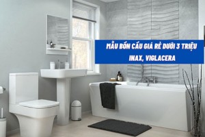 Top 3 mẫu bồn cầu giá rẻ dưới 3 triệu được ưa chuộng năm 2025
