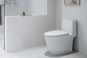 Tổng hợp các bồn cầu Inax 1 khối giá rẻ nhất hiện nay