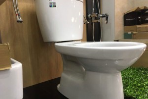 Bồn cầu Inax 306 Nắp Êm và những ưu điểm vượt trội