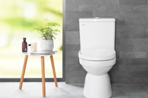 Bồn cầu inax ac-504van Chính Hãng - Tiện Nghi - Sang Trọng