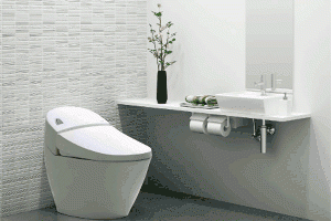 Bồn cầu inax chính hãng, giá tốt cho mọi gia đình