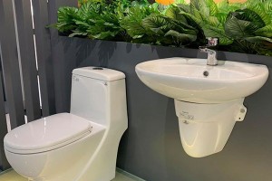 Có nên MUA bồn cầu liền khối Viglacera GIÁ RẺ?