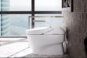 Bồn cầu TOTO - Thiết bị vệ sinh Chính Hãng được ưa chuộng nhất hiện nay