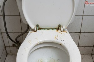 Bồn Cầu Bị Trầy Xước, ố Vàng và Mất Độ Bóng: 4 Nguyên Nhân Chính và Giải Pháp Khắc Phục/Phòng Ngừa Tuyệt Đối