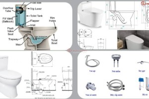 Cấu tạo, kích thước tiêu chuẩn và phụ kiện bồn cầu