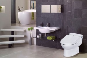 Giá bồn cầu vệ sinh bao nhiêu? Báo giá bồn cầu mới nhất