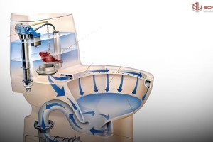 Nguyên Lý Hoạt Động Của Bẫy Nước (Siphon) Trong Bồn Cầu: Cách Chống Mùi Hôi, Chống Trào Ngược và Những Lỗi Kỹ Thuật Thường Gặp