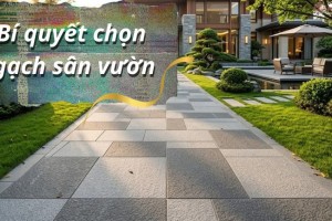 Bí quyết chọn gạch lát sân vườn: Chống trơn tuyệt đối & Chịu tải xe hơi (Cập nhật 2026)