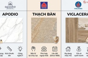So Sánh Gạch Apodio, Thạch Bàn, Viglacera: Nên Chọn Thương Hiệu Nào?