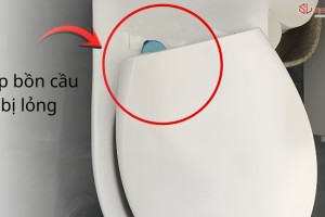 Nắp Bồn Cầu Bị Lỏng Hoặc Kêu Kẽo Kẹt? Hướng Dẫn Tự Xử Lý 3 Sự Cố Phổ Biến (Lỏng Bản Lề, Lỗi Khóa Chốt và Lỗi Cảm Biến Nắp Rửa)