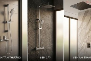 Sen Cây, Sen Tắm Thường Hay Sen Âm Trần: Nên Chọn Loại Nào?