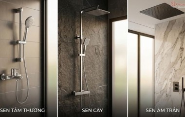 Sen Cây, Sen Tắm Thường Hay Sen Âm Trần: Nên Chọn Loại Nào?