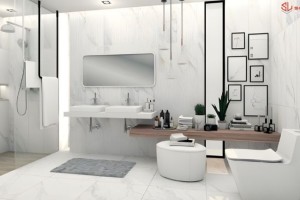 Thiết Bị Vệ Sinh Viglacera: Giải Pháp Quốc Dân – Công Nghệ, Chất Lượng và Lợi Thế Giá