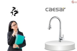 Sự Thật Về Vòi Rửa Bát Caesar Giá Rẻ: Liệu "Của Rẻ" Có Phải Là "Của Ôi"?