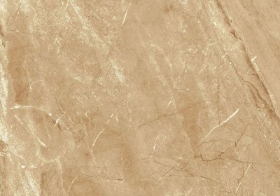 Gạch Grand Ceramics AMP88013