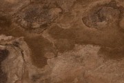 Gạch Grand Ceramics C48CH703