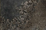 Gạch Grand Ceramics C48CN701