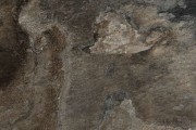 Gạch Grand Ceramics C48CN701