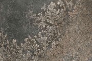 Gạch Grand Ceramics C48CS704