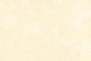 Gạch Grand Ceramics VSM-G88025P