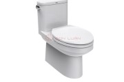 Bồn cầu 1 khối American Standard 2045-WT