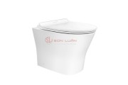 Bồn cầu đặt sàn American Standard VF-2141P