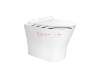 Bồn cầu đặt sàn American Standard VF-2141S