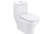 Bồn cầu liền khối Basic BS-101