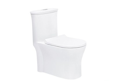 Bồn cầu liền khối Basic BS-107