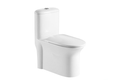 Bồn cầu liền khối Basic BSA-120