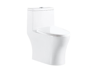 Bồn cầu liền khối Basic BS-FIT