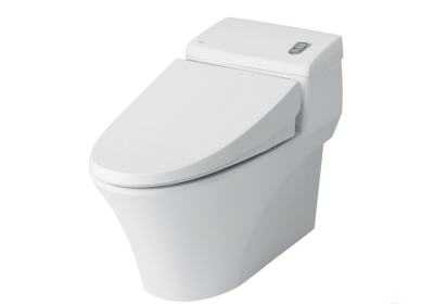 Bồn cầu 1 khối Inax AC-1008VRN