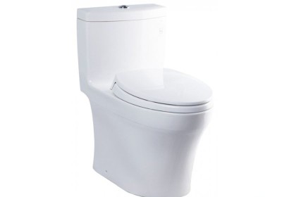 Bồn cầu 1 khối TOTO MS889DT2