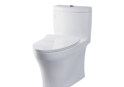 Bồn cầu 1 khối TOTO MS889DRT8