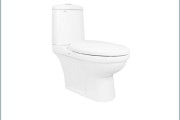 Bồn cầu 2 khối Viglacera VI107