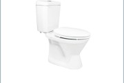 Bồn cầu 2 khối Viglacera VI66