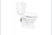 Bồn cầu 2 khối Viglacera VI66P