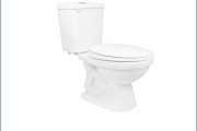 Bồn cầu 2 khối Viglacera VT34