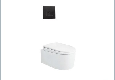 Bồn cầu âm tường Viglacera V55