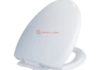 Nắp êm bồn cầu Viglacera V37