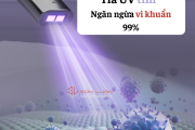 Bồn cầu thông minh Gaxtee G113