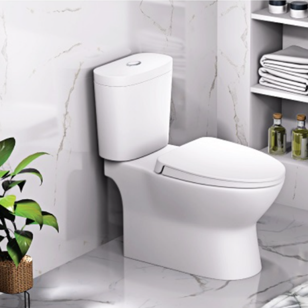 bồn cầu 2 khối