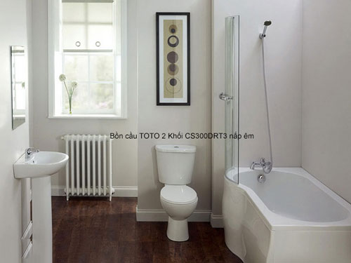 bồn cầu TOTO 2 Khối CS300DRT3 nắp êm